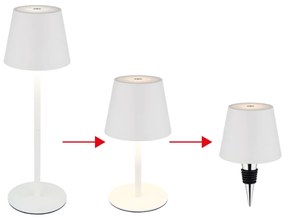 Φωτιστικό Επιτραπέζιο Globo Lighting VANNIE I 58488W 3000+4000+5000K