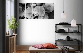 Εικόνα 5 μερών μιας όμορφης ορχιδέας και πέτρες σε μαύρο & άσπρο