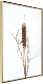 Αφίσα - Typha - 40x60 - Χρυσό - Χωρίς πασπαρτού