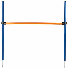 Παιχνίδι εκπαίδευσης Trixie