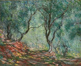 Monet, Claude - Εκτύπωση έργου τέχνης Olive Trees in the Moreno Garden; Bois d'oliviers au jardin Moreno, (40 x 35 cm)