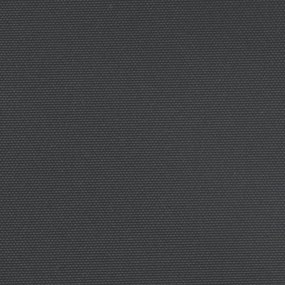 Σκίαστρο Πλαϊνό Συρόμενο Μαύρο 100 x 300 εκ. - Μαύρο