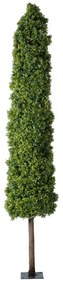 Τεχνητό Δέντρο Buxus 20158 250cm Beige-Green Globostar Polyethylene
