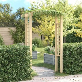 vidaXL Αψίδα Καφασωτό 150 x 60 x 210 εκ. από Ξύλο