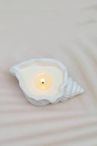 Κερί με σχέδιο κοχύλιού θάλασσας 8x7 cm - Λευκό 8 x 7