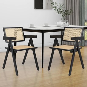 Πολυθρόνα Theodore-Mauro (2) τεμάχια