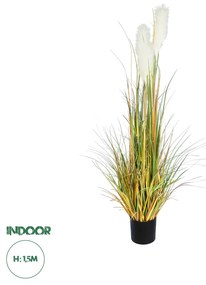 Artificial Garden PAMPAS GRASS 20105 Τεχνητό Διακοσμητικό Φυτό Γρασίδι της Πάμπας Υ150cm