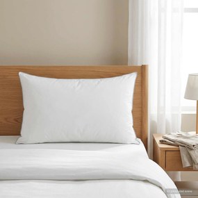 vidaXL Μαξιλάρι 50 x 75 cm Αυστραλιανό Μαλλί Λευκό