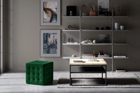 Πουφ Wisdom-Prasino