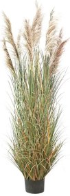 Supergreens Τεχνητο Φυτό Χορτάρι "Reed" Πράσινο 280 εκ.