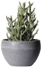 Τεχνητό Φυτό Σενέκιο Vitalis 5260-6 9x18cm Green Supergreens Polyethylene