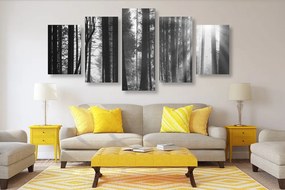 Δάσος με εικόνα 5 μερών λουσμένο στον ήλιο σε ασπρόμαυρο - 200x100