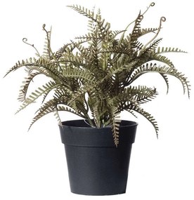Τεχνητό Φυτό Φτέρη Boston 3160-6 24x24x23cm Green Supergreens Polyethylene