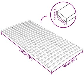 Τελάρο Κρεβατιού με 24 Σανίδες 100 x 200 εκ. 340078