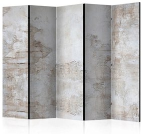 Διαχωριστικό με 5 τμήματα - Stony Story II [Room Dividers] 225x172