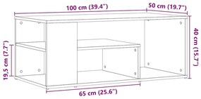 Τραπεζάκι σαλονιού Παλιό ξύλο 100x50x40 cm Κατασκευασμένο ξύλο 856556