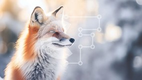 Intra Συλλεκτικό Ξύλινο Παζλ Plywood 4mm - Περίεργη κόκκινη αλεπού στο χιόνι Σε Ξύλινο Κουτί - Διαστάσεις: 10x10 cm – 25 κομμάτια