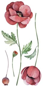 Διακοσμητικά αυτοκόλλητα τοίχου Poppies S