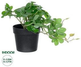 Artificial Garden SCHEFFLERA PLANT 20954 Διακοσμητικό Φυτό Σεφλέρα Φ18 x Υ17cm Globostar 20954