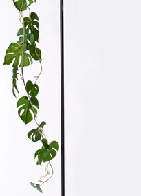 Supergreens Τεχνητή Γιρλάντα Μονστέρα Deliciosa Πράσινη 120 εκ