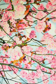 Χαλί Heaven 5401 Pink 160X230cm