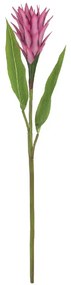 MarHome ΚΛΑΔΙ ΑΛΠΙΝΙΑ ΦΟΥΞ - Y85cm 12/72KIB  00-10022-2