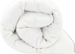 vidaXL Πάπλωμα FULDA 137 x 200 cm 4 Εποχές 210 GSM 90% Χήνας Λευκό