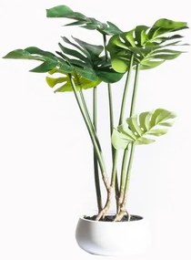 Τεχνητό Φυτό Μονστέρα 65 εκ. 8550-6 Supergreens-8550-6-Πράσινο 8550-6