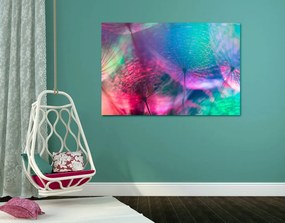 Εικόνα πικραλίδα σε παστέλ χρώματα - 60x40
