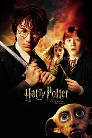 Εικονογράφηση Harry Potter - Chamber of secrets, (26.7 x 40 cm)