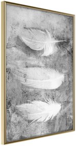 Αφίσα - Delicate Feathers - 20x30 - Χρυσό - Χωρίς πασπαρτού