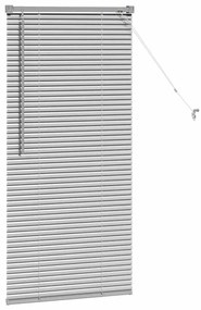 vidaXL Ρολό Παραθύρου με κουρτίνες Ασημί 60 x 130 cm Αλουμίνιο