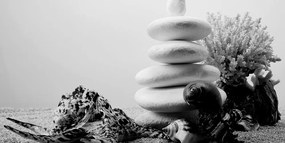 Εικόνα πέτρες Zen με κοχύλια σε μαύρο & άσπρο