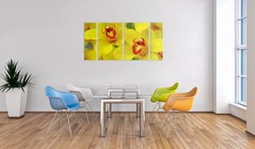 Πίνακας - Orchids - intensity of yellow color 120x60