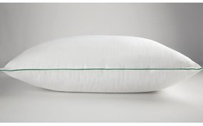Μαξιλάρι Ύπνου Hollofil Vesta 50Χ70 50x70cm Πολυέστερ