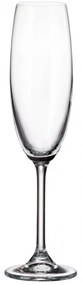Ποτήρι Σαμπάνιας Κολωνάτο 220ml Crystal Bohemia Colibri