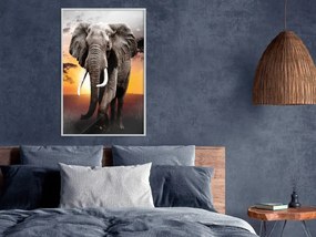 Αφίσα - Majestic Elephant - 30x45 - Μαύρο - Με πασπαρτού