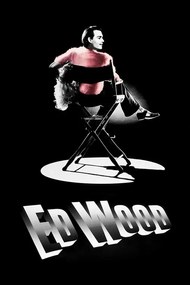 Εικονογράφηση Ed Wood (1994)