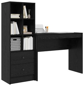 vidaXL Γραφείο με αποθηκευτικό χώρο 2 pcs Μαύρη δρυς 100 x 40 x 76 εκ.
