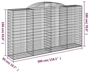 vidaXL Συρματοκιβώτια Τοξωτά 2 τεμ. 300x50x160/180 εκ. Γαλβαν. Ατσάλι