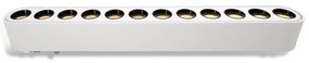 Adeleq Φωτιστικό Ράγας Mini Ντιμαριζόμενο LED 12W 40VDC 4000K Λευκό 22-2301