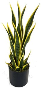 Τεχνητό Φυτό Σανσεβιέρα Trifasciata 6840-6 55cm Green-Yellow Supergreens Leather,Plastic