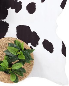 Χαλί All Season (155x190) Royal Carpet Marguerite No 4