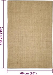vidaXL Χαλί Σιζάλ για Ονυχοδρόμιο 66x100 εκ.