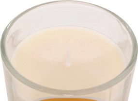 Κερί Αρωματικό 210gr (Φ8.3x9) A-S Floa Vanilla 207012A