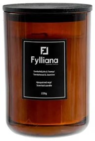 ΑΡΩΜΑΤΙΚΟ ΚΕΡΙ Fylliana FL80105 "ΣΑΝΔΑΛΟΞΥΛΟ &amp; ΓΙΑΣΕΜΙ" ΣΕ ΓΥΑΛΙΝΟ ΒΑΖΑΚΙ 220gr ΚΑΙ ΣΥΣΚΕΥΑΣΙΑ ΔΩΡΟΥ ΚΑΦΕ ΧΡΩΜΑ 8x10.5εκ 394-125-004
