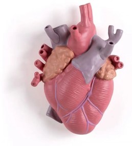Βάζο Love In Bloom 09923  16,5x9 H25 Multi Seletti Porcelain