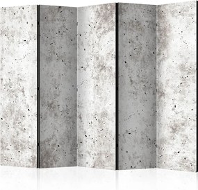 Διαχωριστικό με 5 τμήματα - Urban Style: Concrete II [Room Dividers]