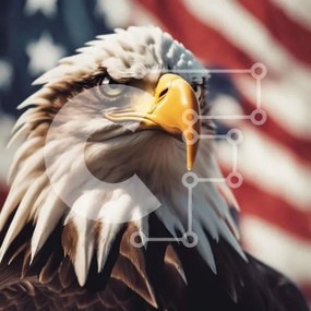 Intra Συλλεκτικό Ξύλινο Παζλ Plywood 4mm - Κοντινό πλάνο φαλακρός αετός με αμερικανική σημαία Σε Ξύλινο Κουτί - Διαστάσεις: 10x10 cm – 25 κομμάτια