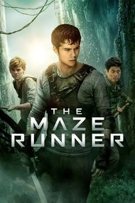 Εικονογράφηση The Maze Runner (2014)